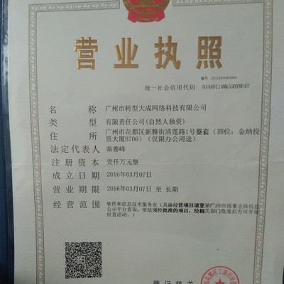羊城數(shù)字化轉(zhuǎn)型 “網(wǎng)絡(luò)大成技術(shù)服務(wù)”開啟立體咨詢服務(wù)新范式